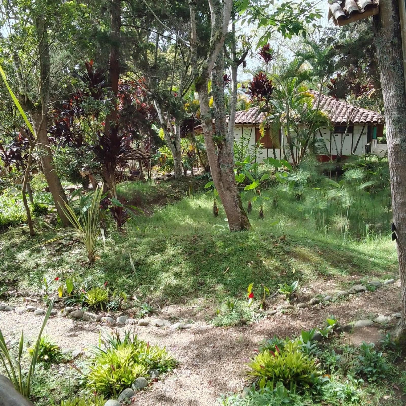 Hotel La Casa De Francois San Agustín Eksteriør billede